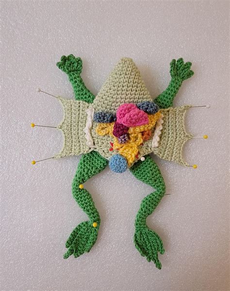 Grossed out my husband! : r/crochet