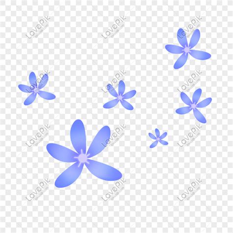 Gambar Bunga Yang Berwarna Biru Koleksi Gambar Bunga