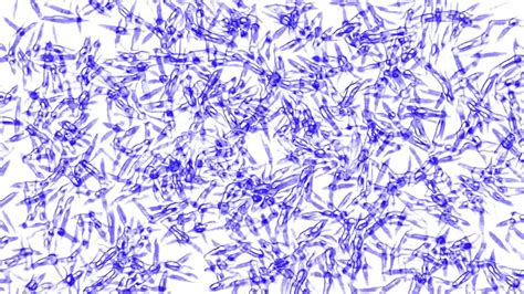 Blue Cells And Virus Under Microscopeteabacteriamicrobesalgaecells