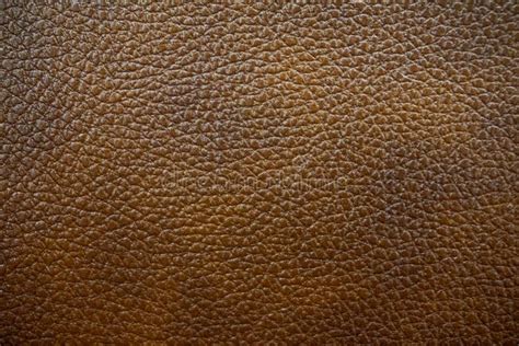 Texture Of A Leather Sofa Stock Photo Image Of Sofa 131749992