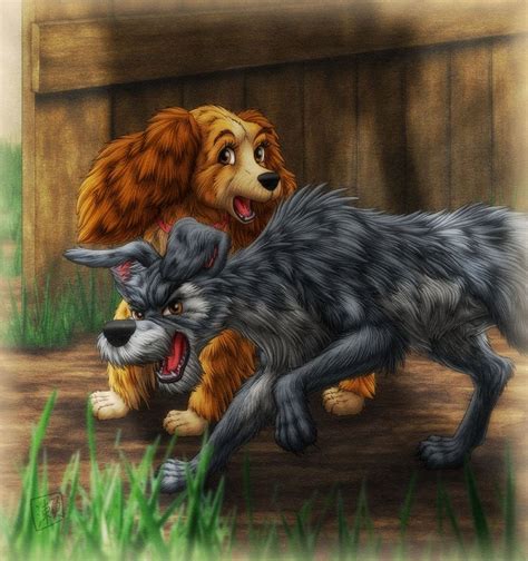 Lady And The Tramp By Sheltiewolf On Deviantart Lady And The Tramp