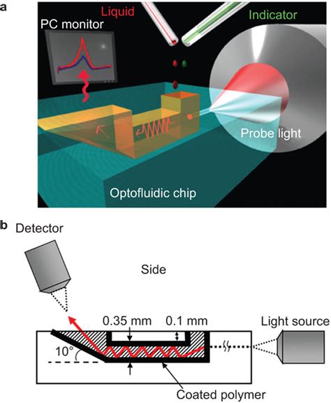Schematic Diagram Of An Optofluidic Chip For Liquid Concentration