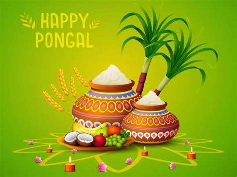 Are you looking for a pongal wishes in tamil ? Happy Pongal 2021: பொங்கல் வாழ்த்து செய்திகள் ...
