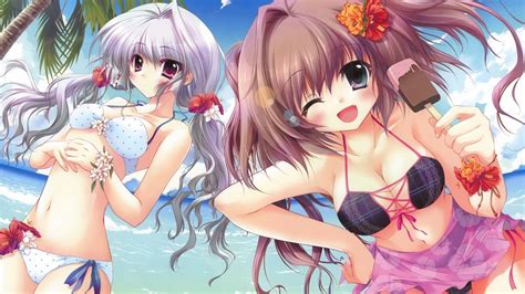 19 Anime Bikini Wallpapers Wallpaperboat
