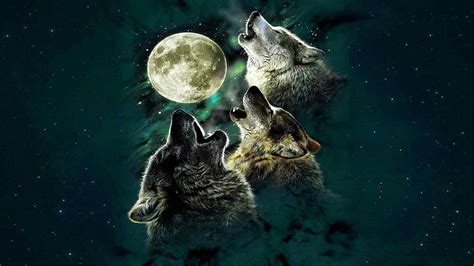 3 Wolf Moon Wallpapers Wolf Wallpaperspro