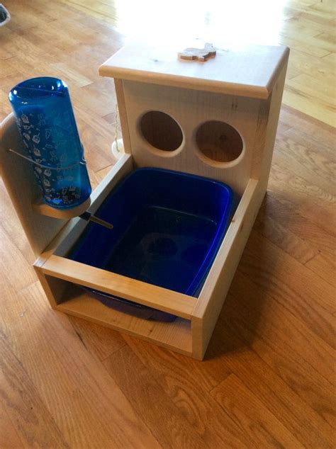 Bunny Rabbit Hay Feeder With Built In Water Bottle Holder And Etsy