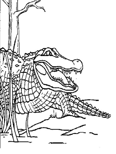 Careless crocodile hand drawn flat vector. Florida Gators - Free Coloring Pages