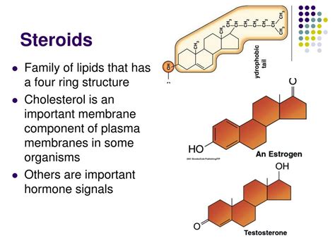 We did not find results for: PPT - Lipids, Membranes & the First Cells PowerPoint ...