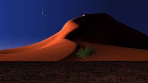 Desert Full Hd Wallpaper And Background Image 1920x1080 Id357997