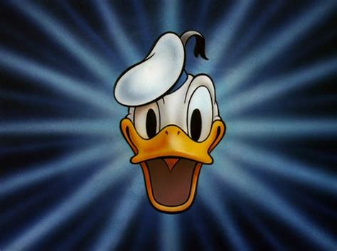 Donald Duck Animation Fascination