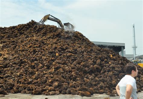 Efb commonly has a high moisture content, which lowers the combustion temperature and reduces. ASIATIC: Landmark biomass power plant starts generating ...