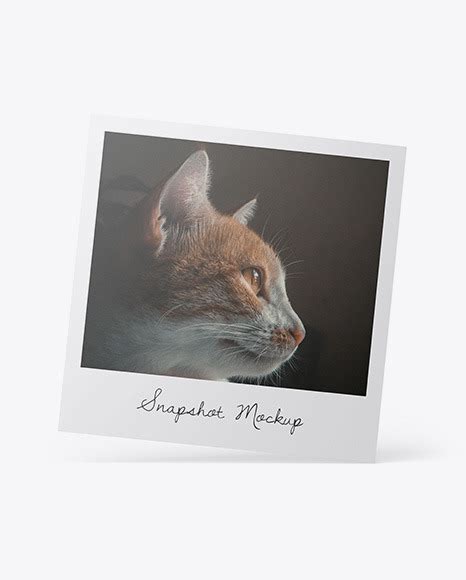 Download Polaroid Mockup Psd Free Download - Free PSD Mockups Smart Object and Templates to create ...