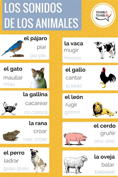 Pin En Palabras En Español Vocabulario