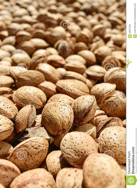 Almonds In Shell Stock Image Image Of Diet Nutty Fruit 59837323