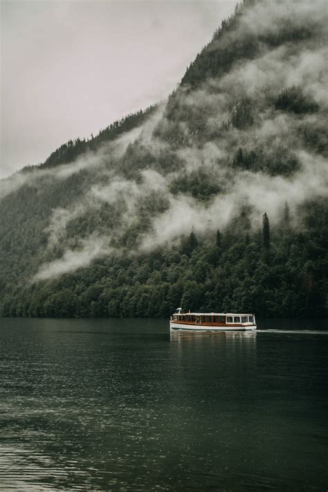 Download Foggy Forest River And Boat Wallpaper
