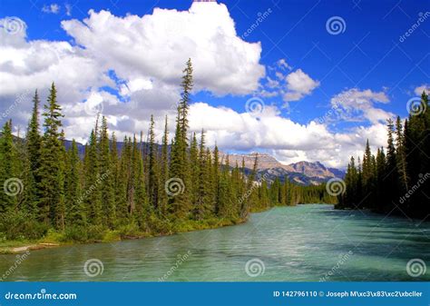 Wonderful Canada Beautiful And Wild River In The Canadian Wilderness
