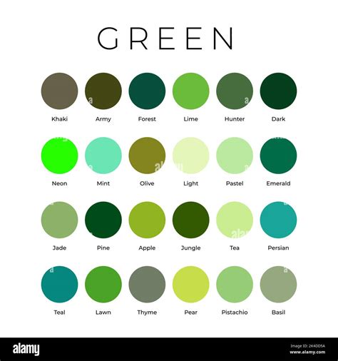Tonos De Color Verde Paleta De Muestras Con Nombres Imagen Vector De