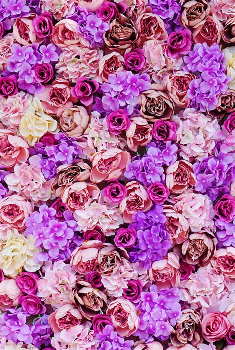 Download This Photo By Juliusz On Unsplash Purple Flowers Wallpaper