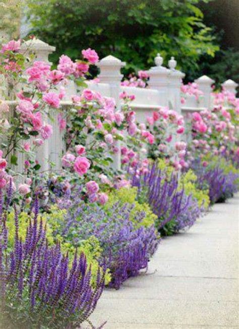 Check spelling or type a new query. Lavender and roses Love lavender and roses! | Garden ...