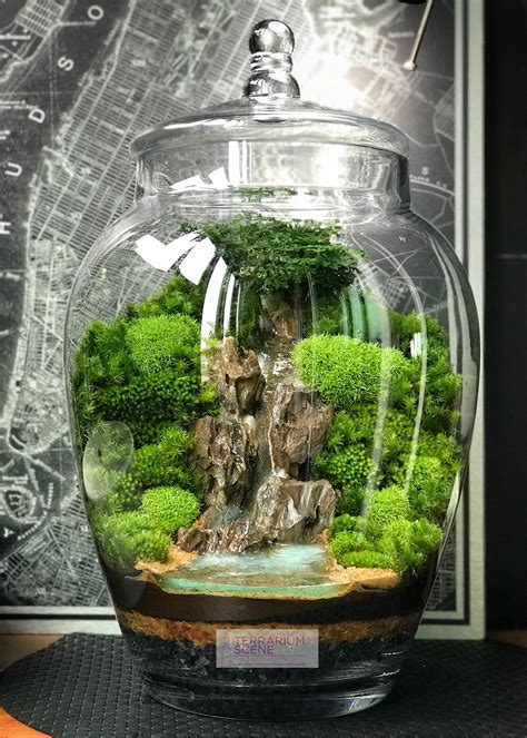 Pin By Nancy Bruder On Hobbies Miniature Garden Bottle Garden