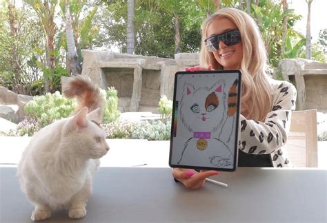 A $10 bill can be exchanged for two $5 bills. Paris Hilton auctions her cat's portrait as an NFT token ...