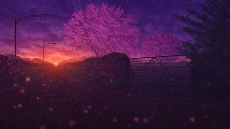 Wallpaper Road Anime Landscape Night Sakura Blossom Scenic Sunset
