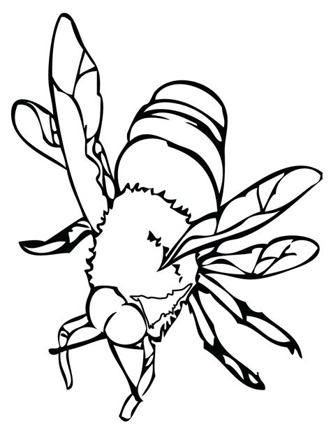 P>below this is coloring pages for insects available to download. Insect Coloring Pages - Best Coloring Pages For Kids