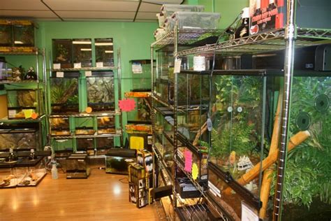 We are known for our extensive knowledge, unique selection, and customer service. Jabberwock Reptiles Coupons near me in Winchester | 8coupons