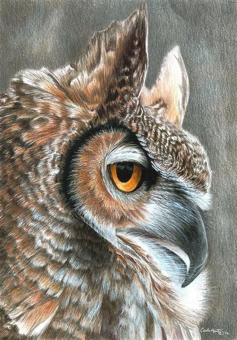 Sepia Owl By Carla Kurt Art à Thème Oiseau Peintures De Hibou
