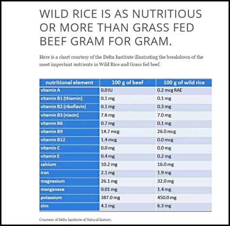 Huge Wild Rice Benefits Over White Or Brown Healthy Home Economist