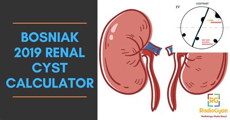 Bosniak Classification Cystic Renal Masses Calculator Ct And Mri Radiogyan