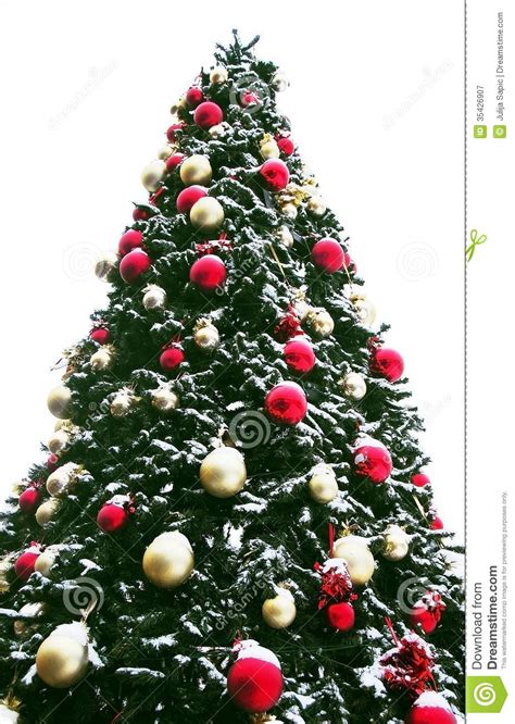 Christmas Tree Outdoor Royalty Free Stock Photography