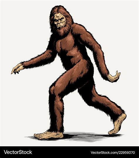 Walking Sasquatch Full Color Royalty Free Vector Image