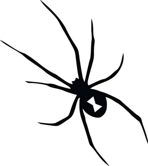 Black Widow Spider Vinyl Decal Sticker