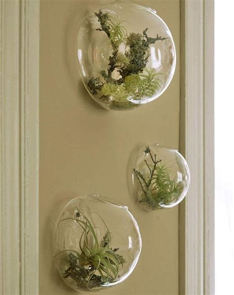 Mixed Set Of 3 Wall Bubble Terrariums Clear Glass Vase