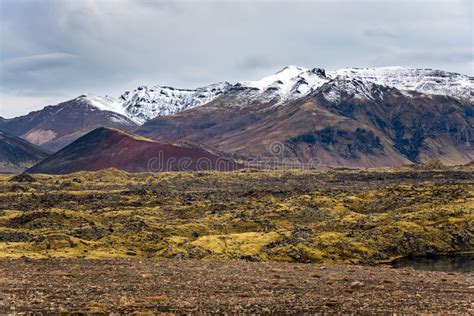 Lava Plain Covered In Moss With Snow Capped Mountains In Background