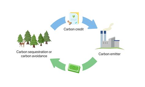 Understanding Carbon Credits Climate Carbon