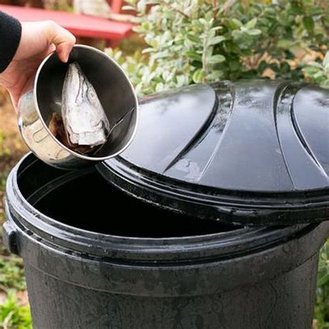 8 best homemade garden fertilizers. Homemade Fertilizers - 15 Simple and Inexpensive Options - The Grow Network : The Grow Network