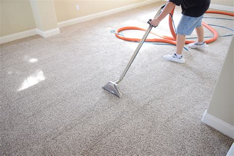 Carpet Care For Busy Lifestyles Tips For On The Go Professionals Clean Carpets Today