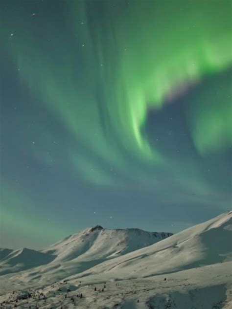 Aurora Borealis Yukon Bing Wallpaper Download