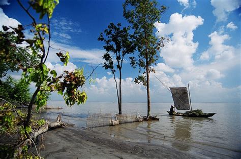 Download free live wallpaper from the category nature on your desktop. Bangladeshi Wallpaper 4K Zip Download / Best 51 Bangladesh ...