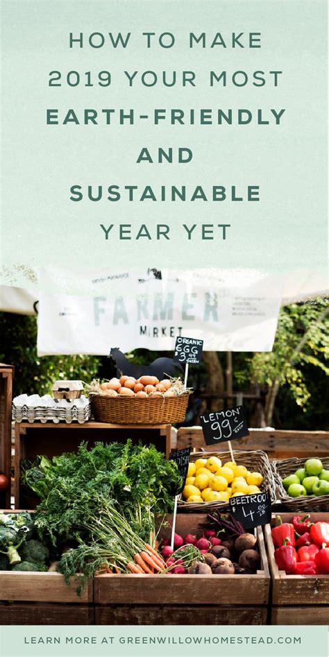 How To Make 2019 Your Most Earth Friendly And Sustainable Year Yet