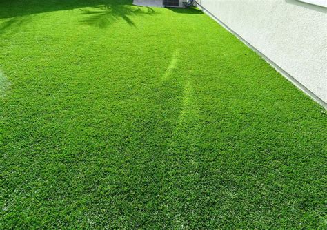 Flat Artificial Grass Ewenny Garden Centre