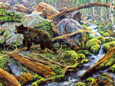 Wildlife Paintings