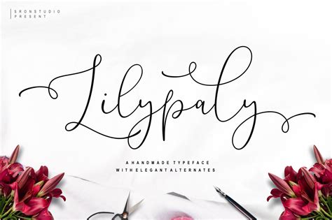 Lilypaly Script Handwritten Fonts Calligraphy Font Cricut Etsy