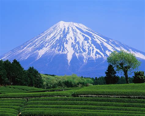 Mount Fuji Japan Piece Of Highest Range