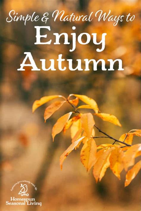10 Ways To Enjoy Autumn Homespun Seasonal Living