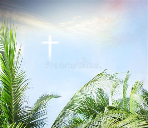 Palm Sunday Concept Green Palm Tree Leaves On Cross Sunset Background
