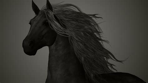 Hd wallpapers and background images Black Horse HD Backgrounds | PixelsTalk.Net