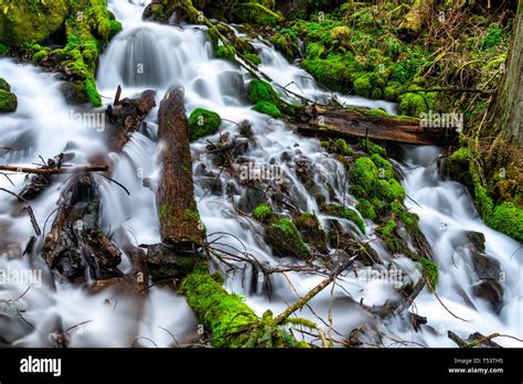 Fairy Falls In The Columbia River Gorge Usa Stock Photo Alamy